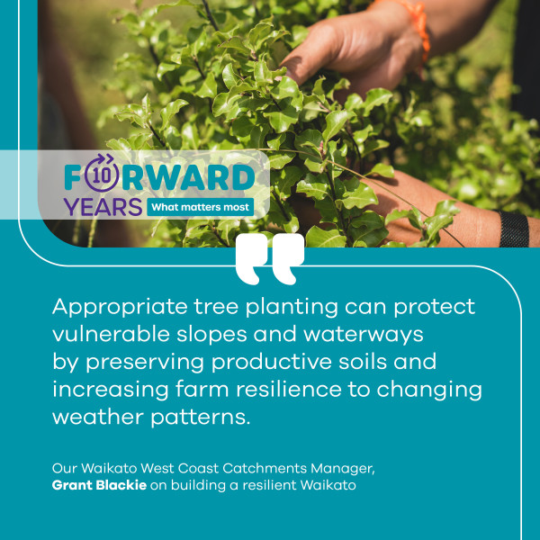 Image - LTP quote - Catchment Management