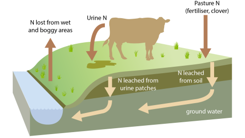 Illustration showing nitrogen cycle on farm