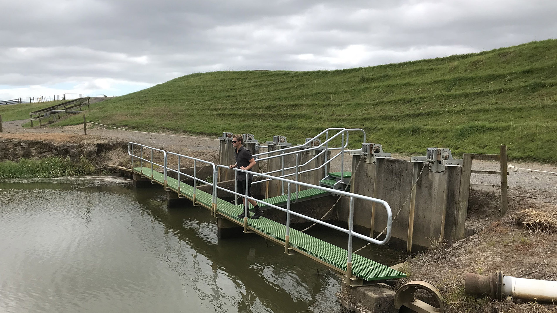 Image of floodgate and stopbank in Waihou Valley Scheme