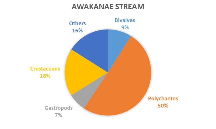 REMP monitoring results - data graph - Awakanae Stream