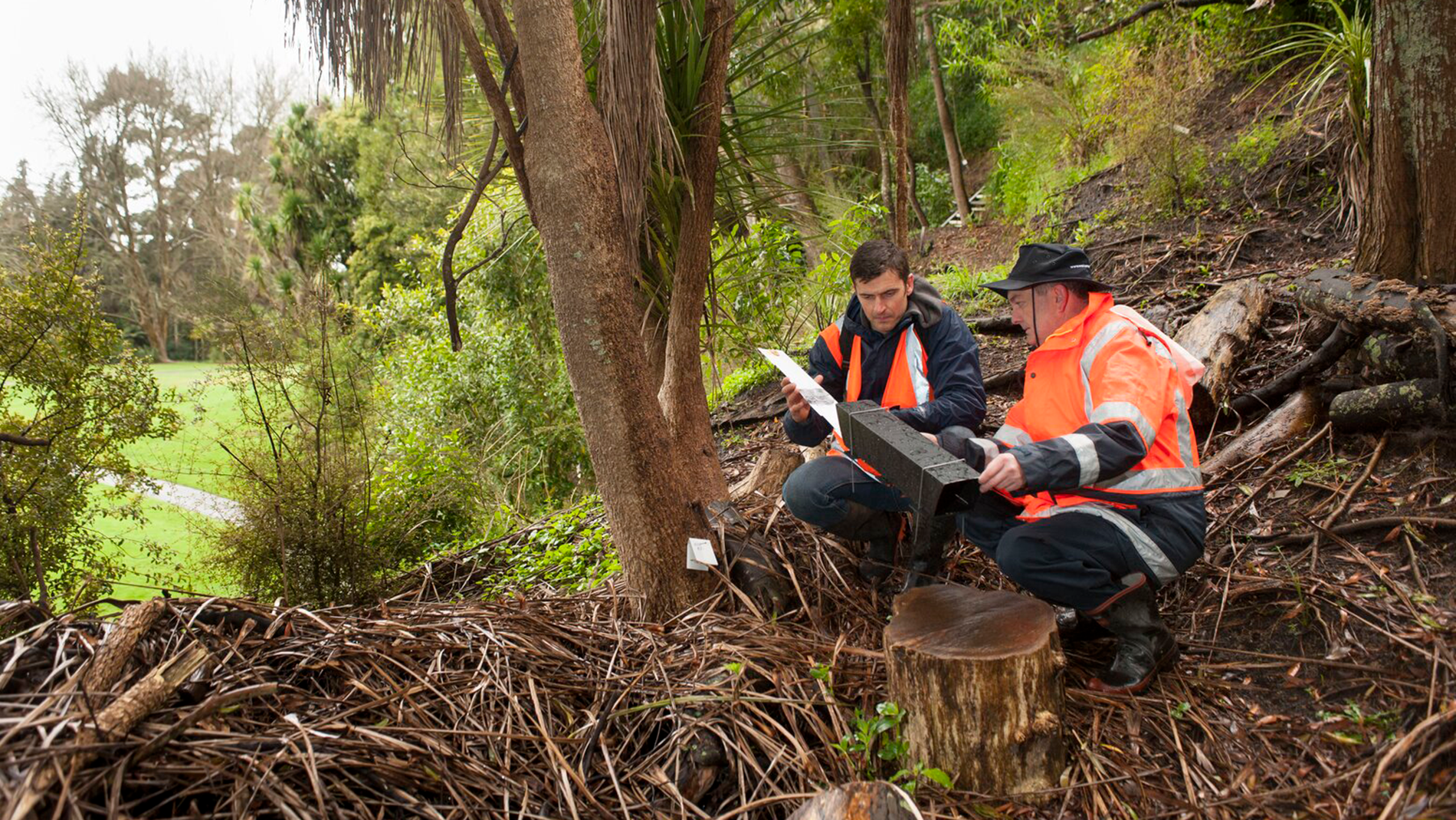 Catchment management