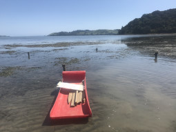 Image - Coromandel Harbour