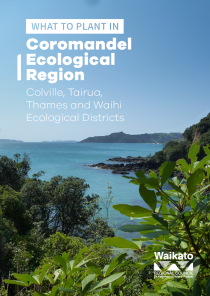 What to plant in the Coromandel ecological region