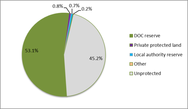 Graph showing freshwater wetland protection status in the Waikato region