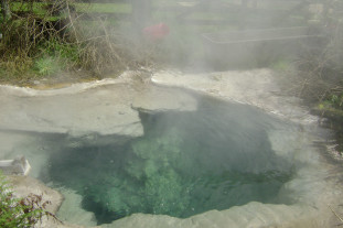 Image of Waikite springs