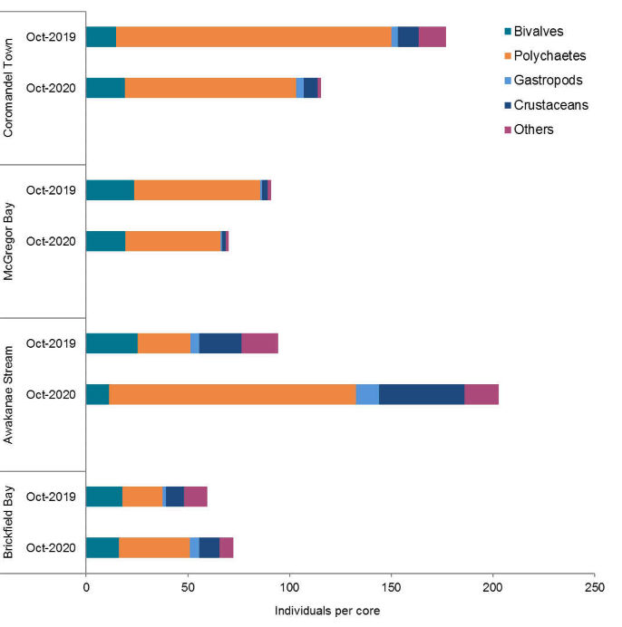 Coromandel Harbour sediment-dwelling organisms graph