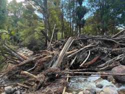 Kaniwhaniwha stream blocked by logs