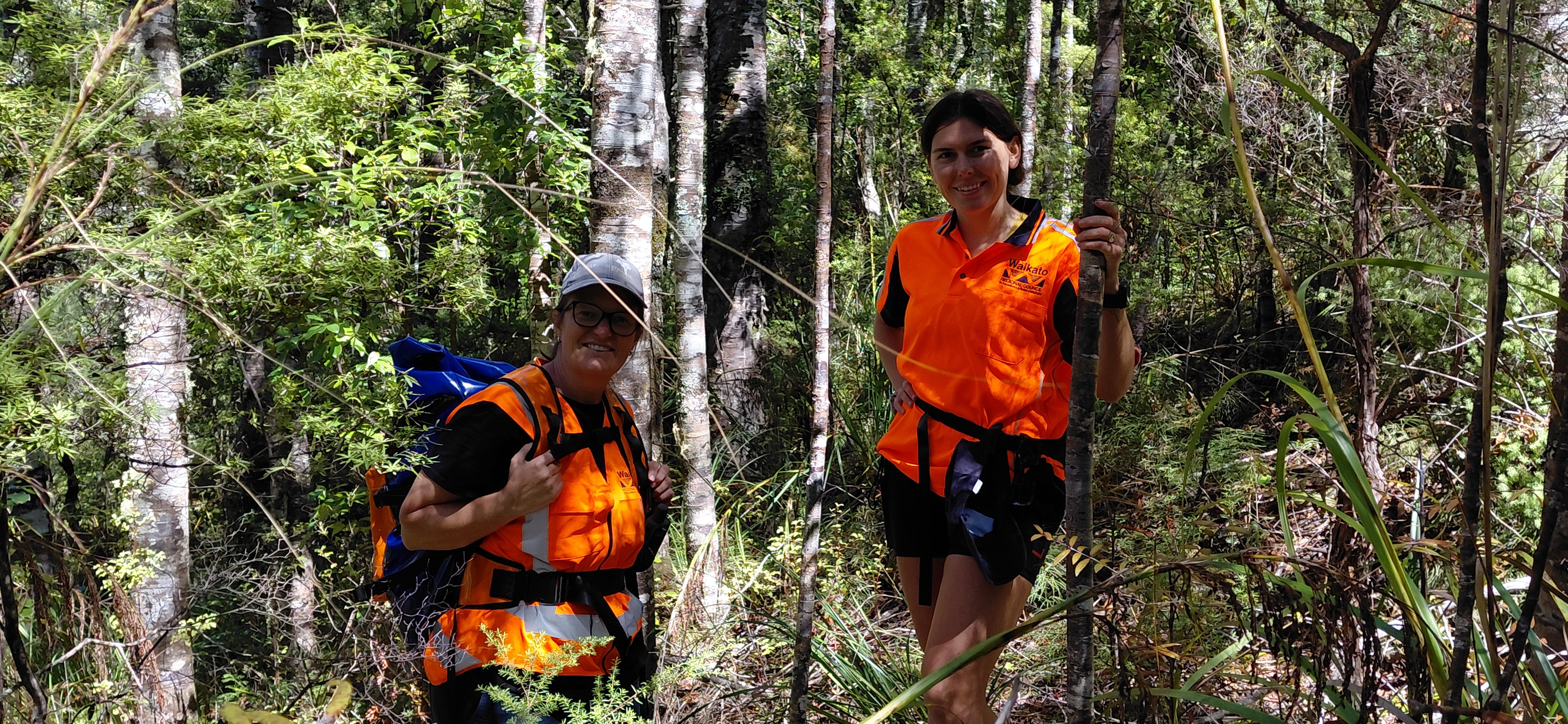Image of Kauri protection team in the field