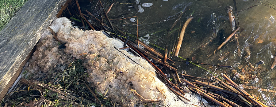Image of foam on lake surface