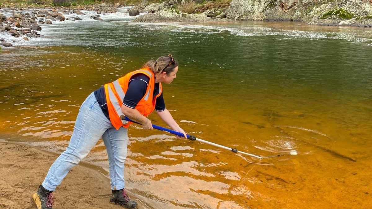 ŌHINEMURI RIVER INCIDENT: On Friday 23 August, Waikato Regional Council received its notification of a large, orange plume flowing down Ōhinemuri River in the Karangahake Gorge. Go to our webpage about the incident to learn more and to stay up to date with what has been done so far.