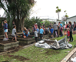 Image of kids working in gardens in the school backyard