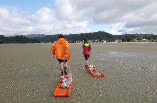 Image - REMP monitoring