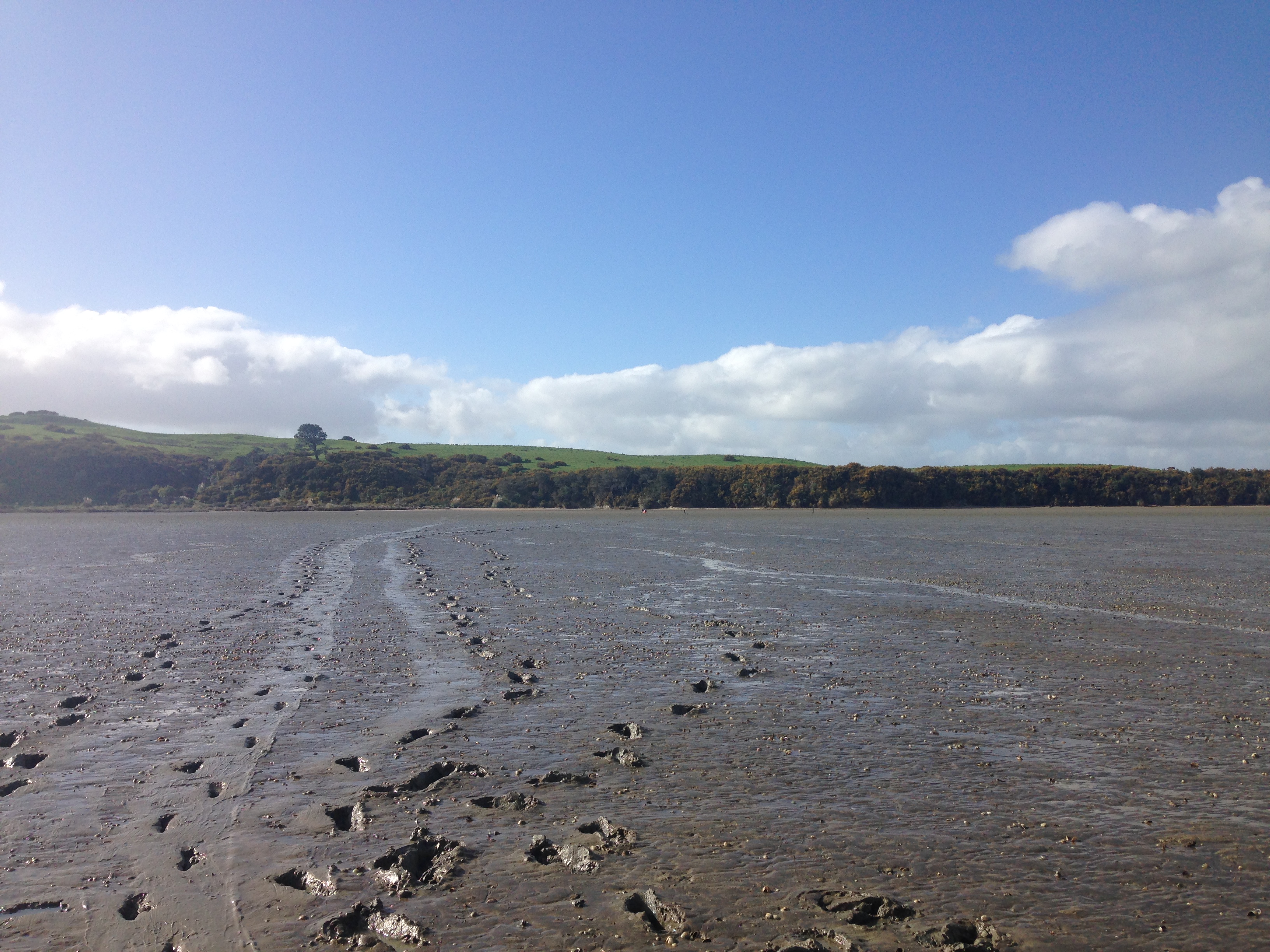 Whaingaroa (Raglan) Harbour