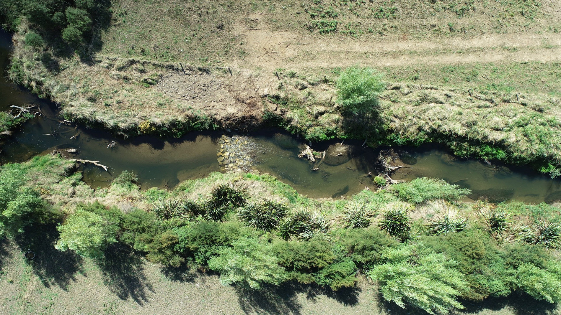 Image of established management site 