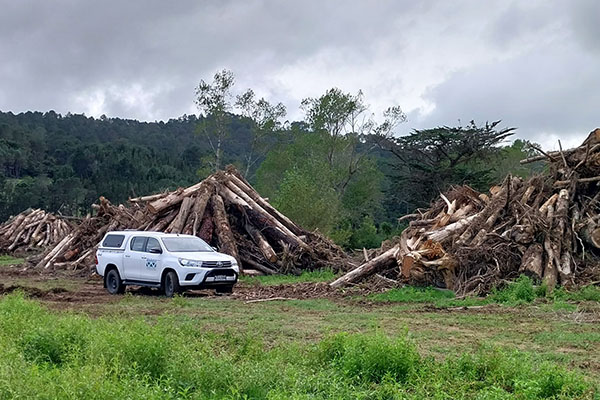 Image - Parakau Stream vegetation removal 