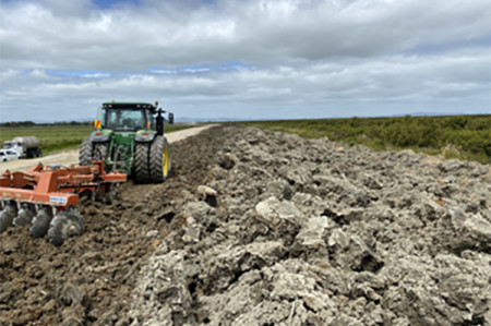 Image showing the captured sediment drying to be used to upgrade the foreshore stopbanks. 