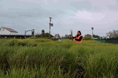 Image of Elly working in the nurseries of Ngāti Haua Mahi Trust