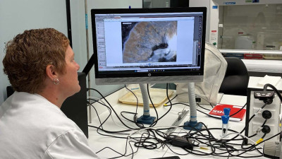 Image of Karen looking at hundreds of eggs on screen