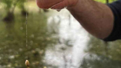 Image of man holding the string from a clam