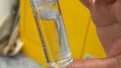 Image showing vial of baby clams 