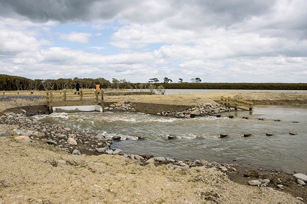 Photo of tidal control structure
