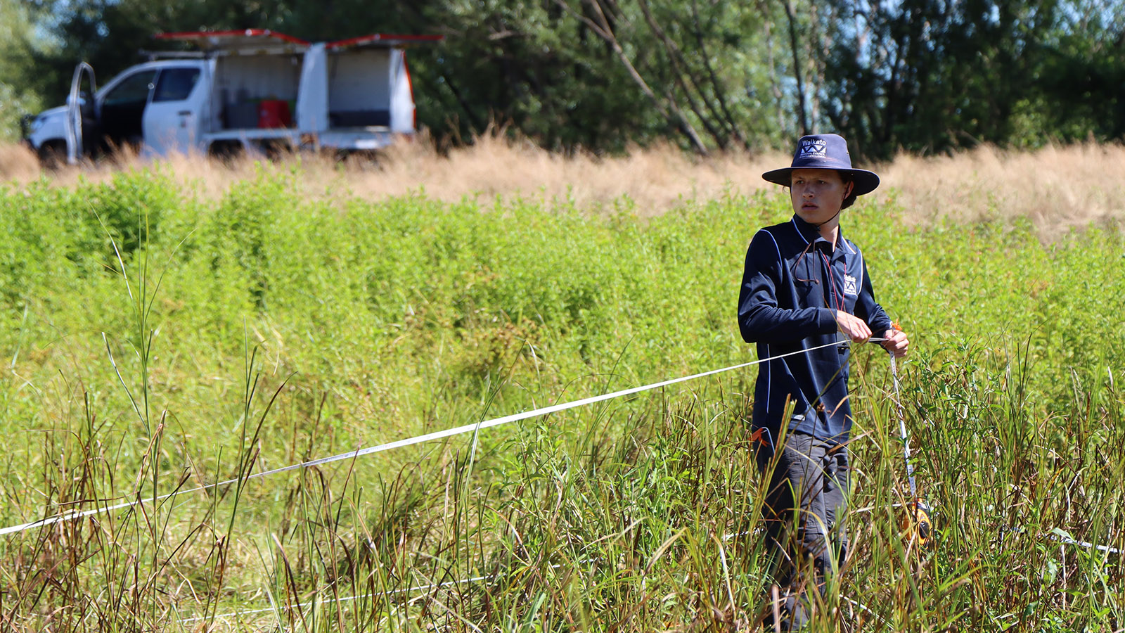 Image - A 20-metre by 20-metre monitoring plot with quadrants and corresponding transect lines are set up at each site. 