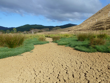 Image showing drought in a field