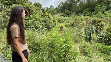 Image of a person standing next to a gully