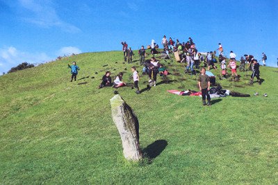 The community started planting Ahurei about five years ago because it was a bare hill covered in kikuyu grass “too steep to mow” and to help protect it from coastal erosion.