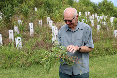 Ray Montgomery spends much of his time keeping Ahurei’s plantings weed free.