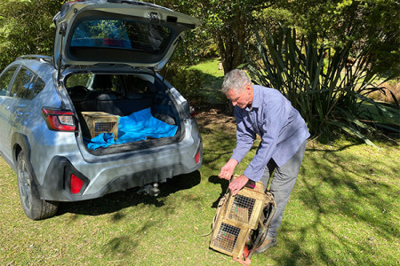 Dennis readies traps for carrying into the forest