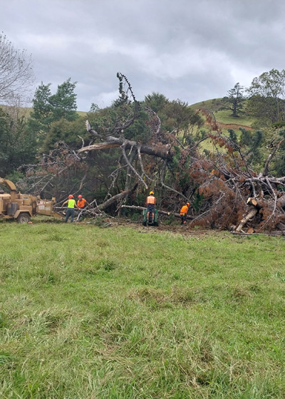 Image of people cutting down a fallen tree
