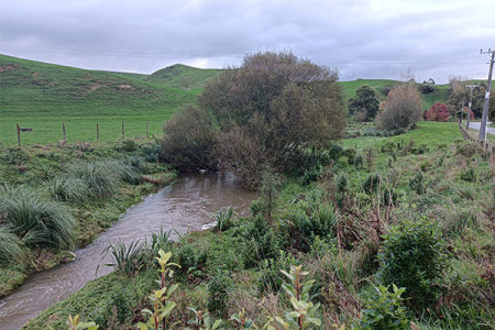 Riparian planting at the Mangare Stream, Upper Waikato Catchment