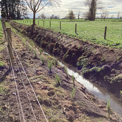 Image showing the drain after planting