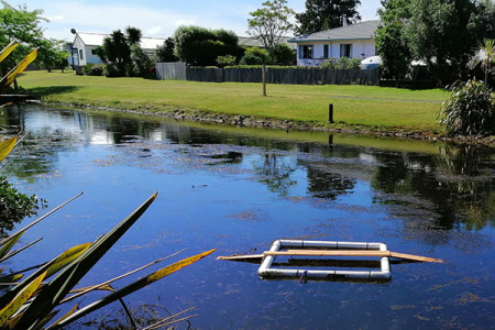 Example of the turtle basking platform over a basket trap in a pond.