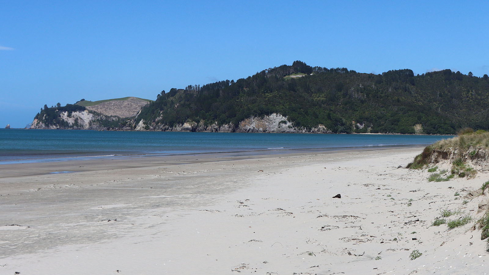 Image of beach and coastline