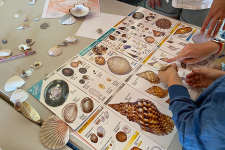 Children identifying marine species on learning resources