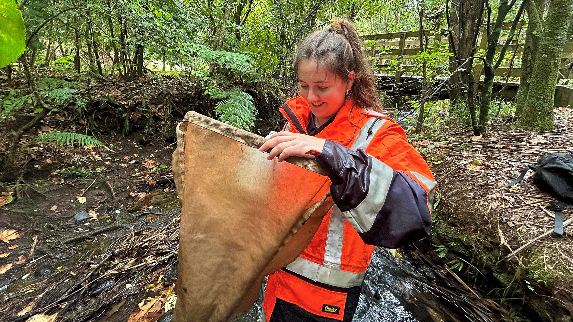 Image - Working at Waikato Regional Council