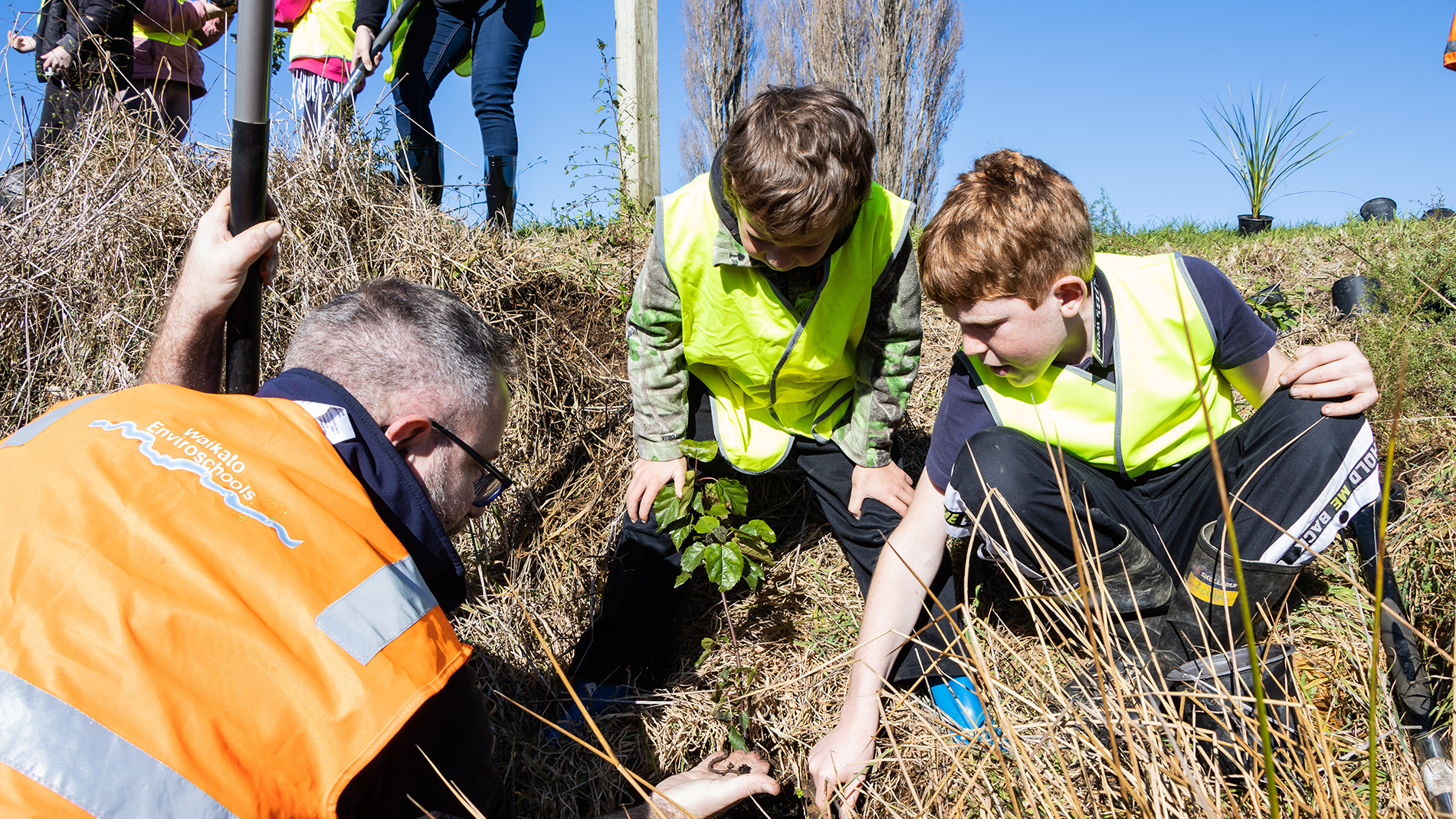 Image - Enviroschools at Te Poi - planting upper Waiomou Stream 