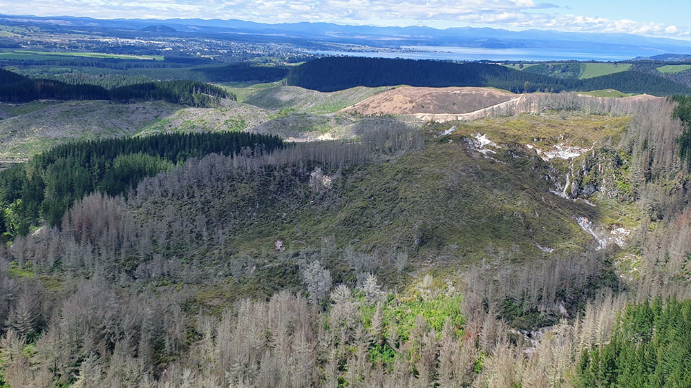 Aerial shot: Wilding pine control work at Alum Lakes.