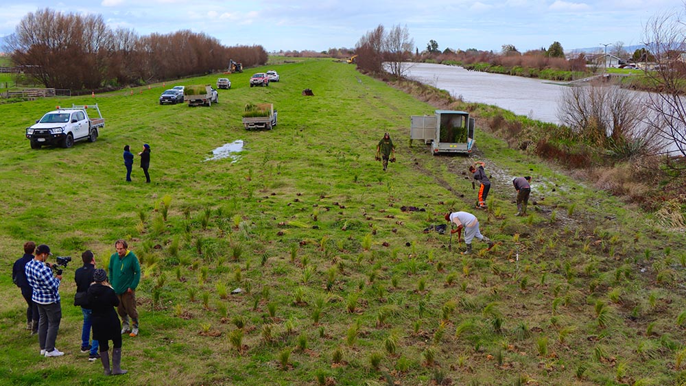 Filming of the first planting, organised by the Ministry for the Environment for a promotional video. 