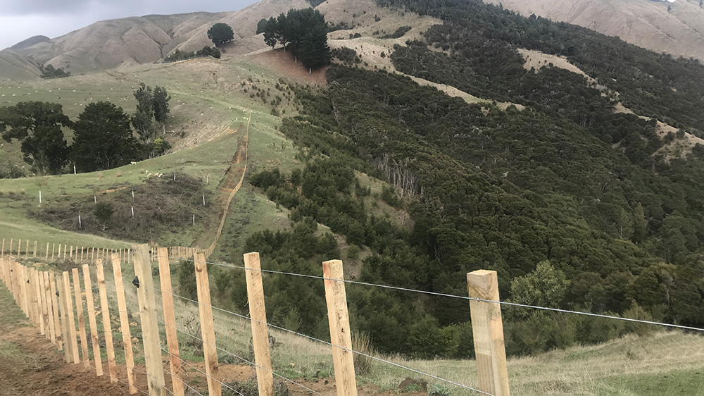 Hill country retirement fencing at Matahuru. 