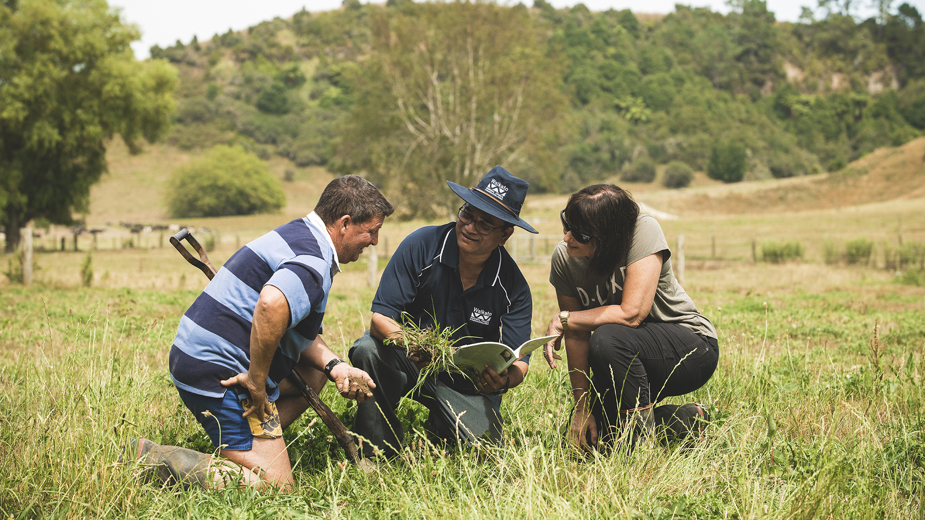 Image - Waikato Regional Council staff out in the field