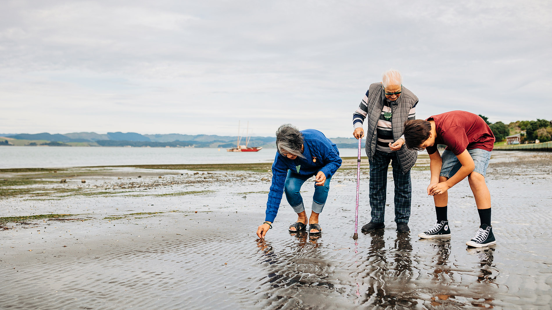 Image of whānau gathering kaimoana at Kāwhia