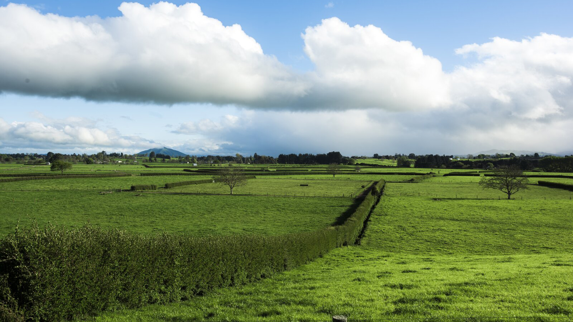 Clouds over green pastures in the Waikato region