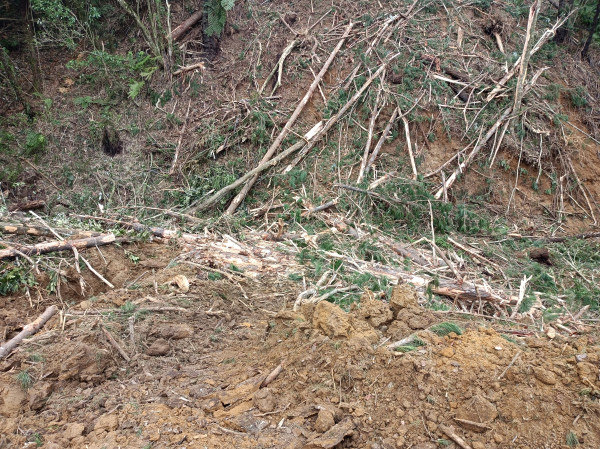 Slash and spoil damming a tributary of the Waitaheke Stream