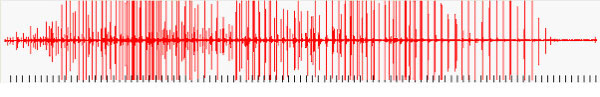 Waveform graph showing bat echolocation