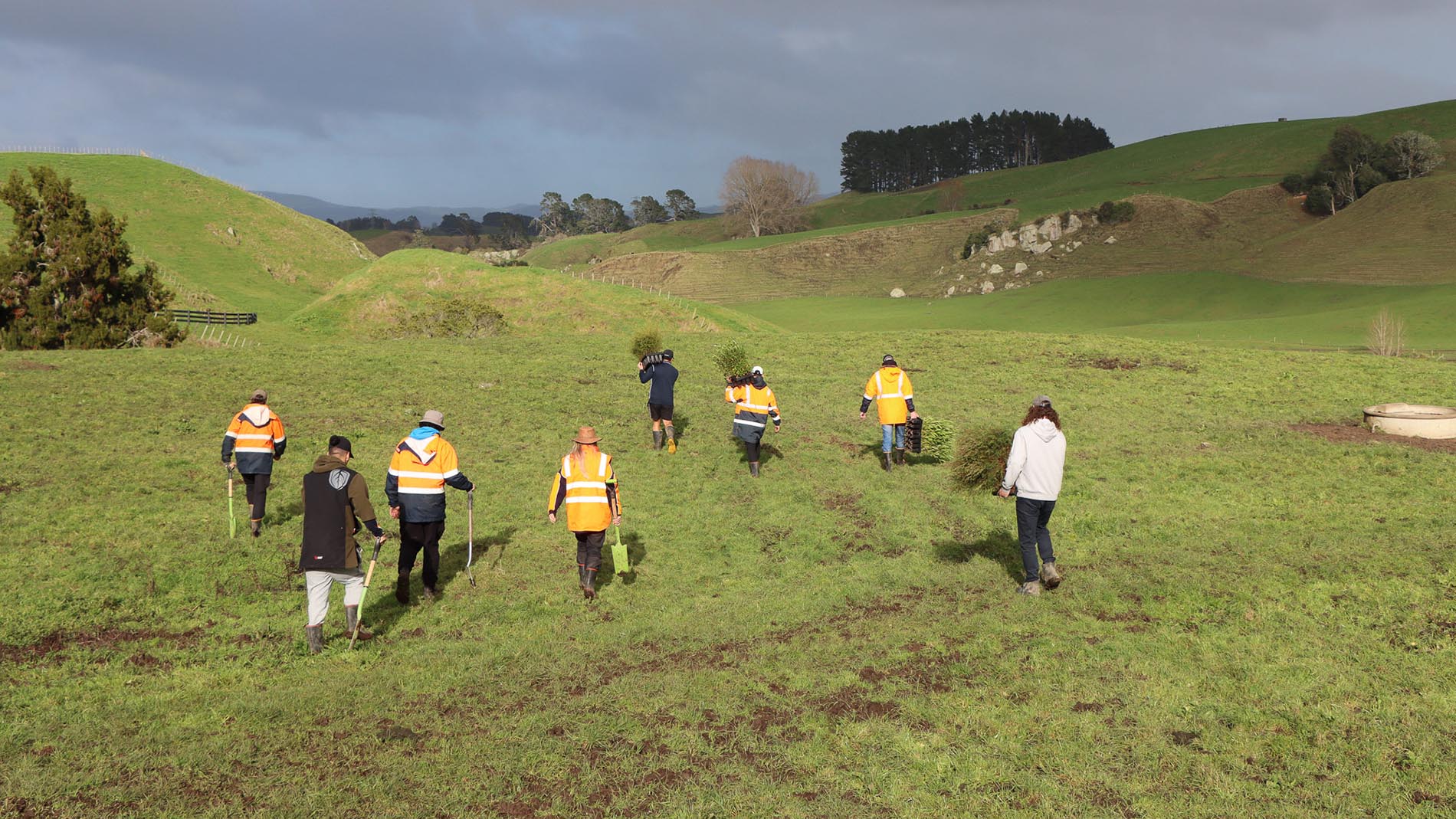 Image -  Karāpiro and Mangaonua catchments restoration work