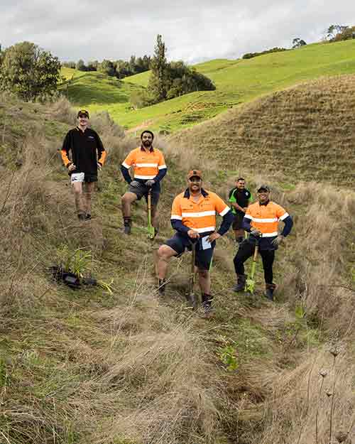 Image - The first plantings, in 2021, on the Brunskill property. 