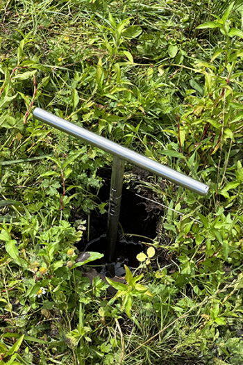 A photo of a peat depth probe in the ground